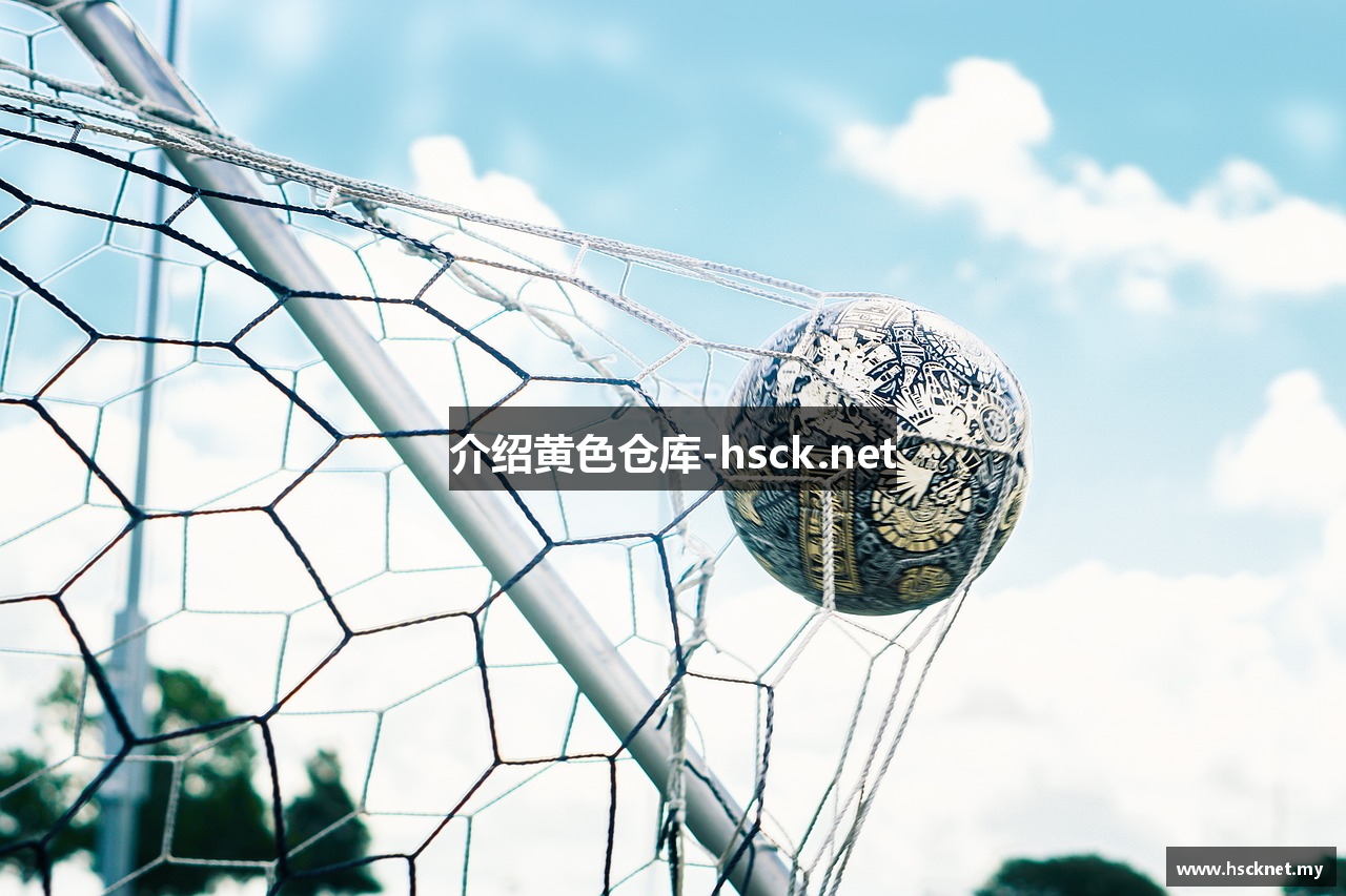 介绍黄色仓库-hsck.net